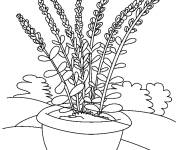 Coloriage Des jolies fleurs dans un pot