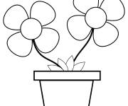 Coloriage Deux fleurs dans un pot vectoriel