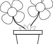 Coloriage et dessins gratuit Deux marguerites dans un joli pot à imprimer