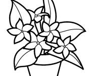 Coloriage Fleurs magnifiques en pot