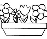 Coloriage Gros pot de fleur
