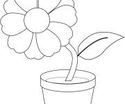 Coloriage et dessins gratuit Grosse fleur dans un pot à imprimer