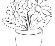 Coloriage Illustration camomille en pot