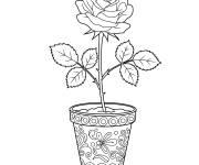 Coloriage Jolie rose dans un pot