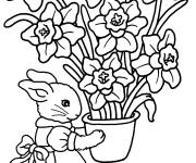 Coloriage et dessins gratuit Lapin tenant un pot d'iris à imprimer