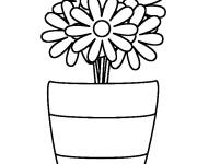 Coloriage Marguerites en pot dessin&eacute; &agrave; la main