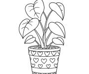 Coloriage Plante dans un pot