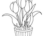 Coloriage Plusieurs fleurs de tulipes en pot