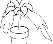 Coloriage et dessins gratuit Poinsettia dan un petit Pot à imprimer
