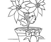 Coloriage Pot d'&eacute;toile de No&euml;l