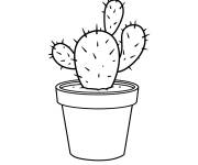 Coloriage Pot de cactus