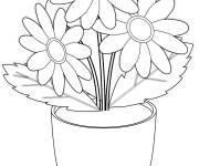 Coloriage Pot de Camomille
