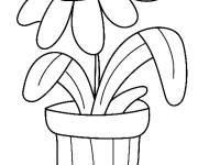 Coloriage Pot de fleur au crayon