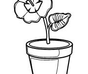 Coloriage Pot de fleur pour cp