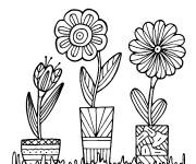 Coloriage Pot de fleur zentangle