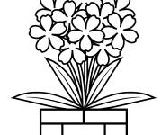 Coloriage Pot de fleurs basique