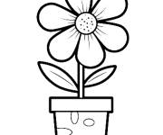 Coloriage Pot de fleurs pour ce1