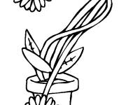 Coloriage et dessins gratuit Pot de longs fleurs marguerites à imprimer