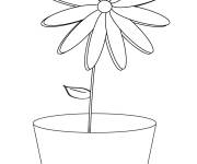 Coloriage et dessins gratuit Pot de Marguerite à imprimer
