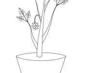 Coloriage Pot de plante
