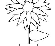 Coloriage et dessins gratuit Pot de Tournesol à imprimer