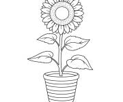 Coloriage Pot de tournesol