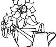 Coloriage Pot de Tournesols et arrosoir