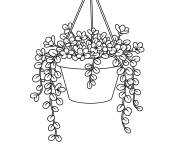 Coloriage Pot des fleurs suspendu