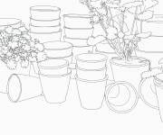 Coloriage Pots en terre cuite vintage