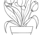 Coloriage Trois tulipes en pot