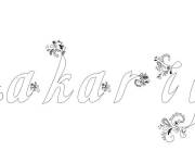 Coloriage Pr&eacute;nom Zakariya