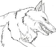 Coloriage Le loup Moro