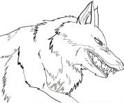 Coloriage et dessins gratuit Moro de Princesse Mononok&eacute; à imprimer