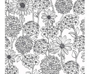 Coloriage Adulte Fleurs de Jardin