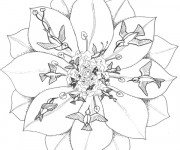 Coloriage Fleur et Oiseaux pour relaxer