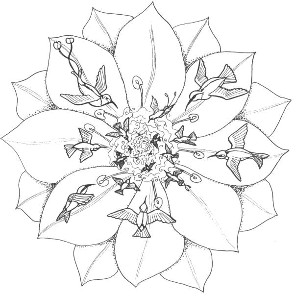 Coloriage Fleur Et Oiseaux Pour Relaxer Dessin Gratuit à