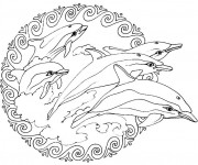 Coloriage Mandala Dauphins Relaxant