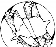 Coloriage Repas Plat Principal