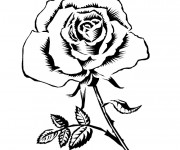 Coloriage Rose adorable