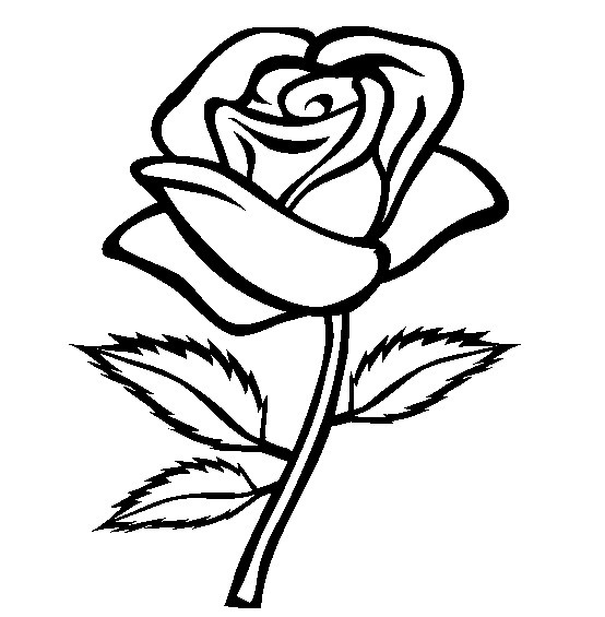 Coloriage Rose Fleur Dessin Gratuit à Imprimer