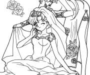 Coloriage et dessins gratuit Les princesses Sailor Moon en robes magnifiques à imprimer