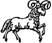 Coloriage B&eacute;lier Ps