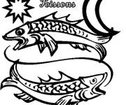 Coloriage Poissons en miniature