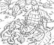 Coloriage Scorpion signe au combat