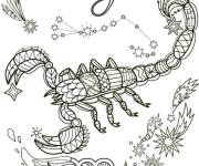 Coloriage Scorpion signe zodiaque en shillouate
