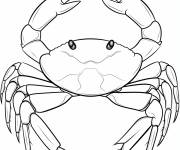 Coloriage Signe astrologique Cancer vue de haut