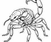 Coloriage Signe astrologique Scorpion &agrave; impri