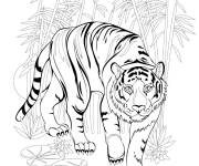 Coloriage Signe du zodiaque chinois Tigre