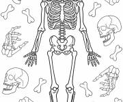 Coloriage Squelette adulte avec motifs