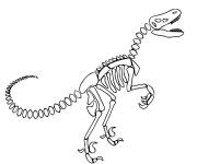 Coloriage Squelette d'un dinosaure ps